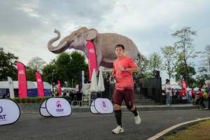 BIB: 
                            <button type="button" onclick="openModal(26528634)" class="btn btn-primary btn-sm float-right btn-popup" data-toggle="modal" data-target=".modal-high-quality">
                        <i class="fas fa-shopping-cart"></i> Add to Cart
                    </button>
                                            <button type="button" onclick="isThisMe(26528634, true)" class="btn btn-success btn-sm float-right btn-popup btn-isme hidden" data-toggle="tooltip" data-placement="bottom" title="นี่คือรูปของคุณใช่ไหม คลิกที่นี่เพื่อเอาเข้าอัลบั้ม">
                        <i class="fas fa-plus"></i> Add to album
                    </button>
                    <button type="button" onclick="isThisMe(26528634, false)" class="btn btn-warning btn-sm float-right btn-popup btn-isnotme hidden">
                        <i class="fas fa-ban"></i> Remove from album
                    </button>